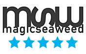 logo-magicseaweed